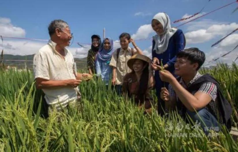 博业体育网页版在线登录技术总监华泽田向印度尼西亚梭罗大学学生教授杂交水稻知识
