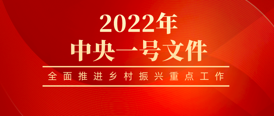 博业体育网页版在线登录全员学习贯彻 2022年中央一号文件精神